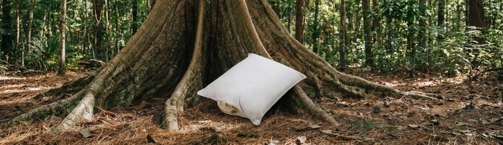 Alles over een kapok kussen: natuurlijk, duurzaam en comfort
