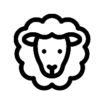 Texels wol
